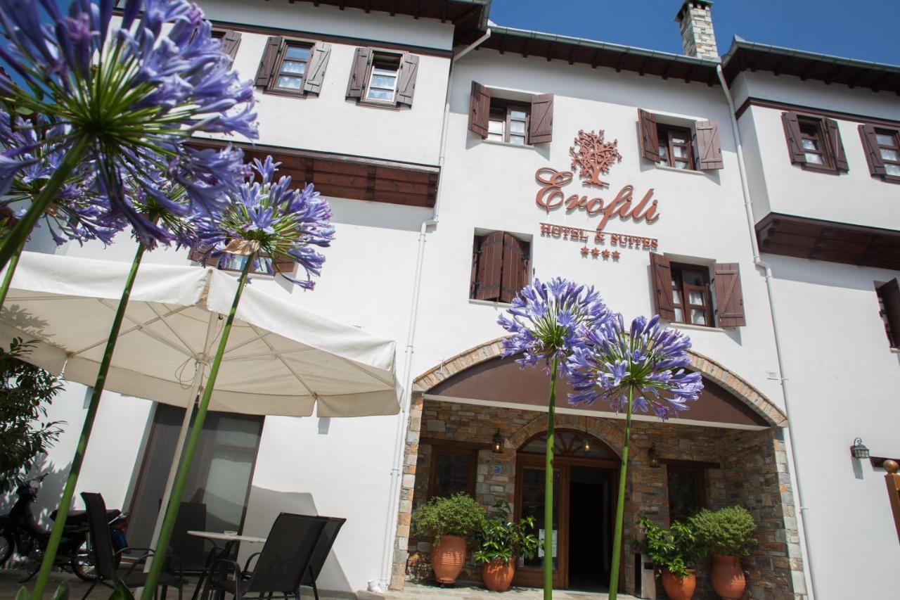 Erofili Hotel & Suites Portaria  Ngoại thất bức ảnh