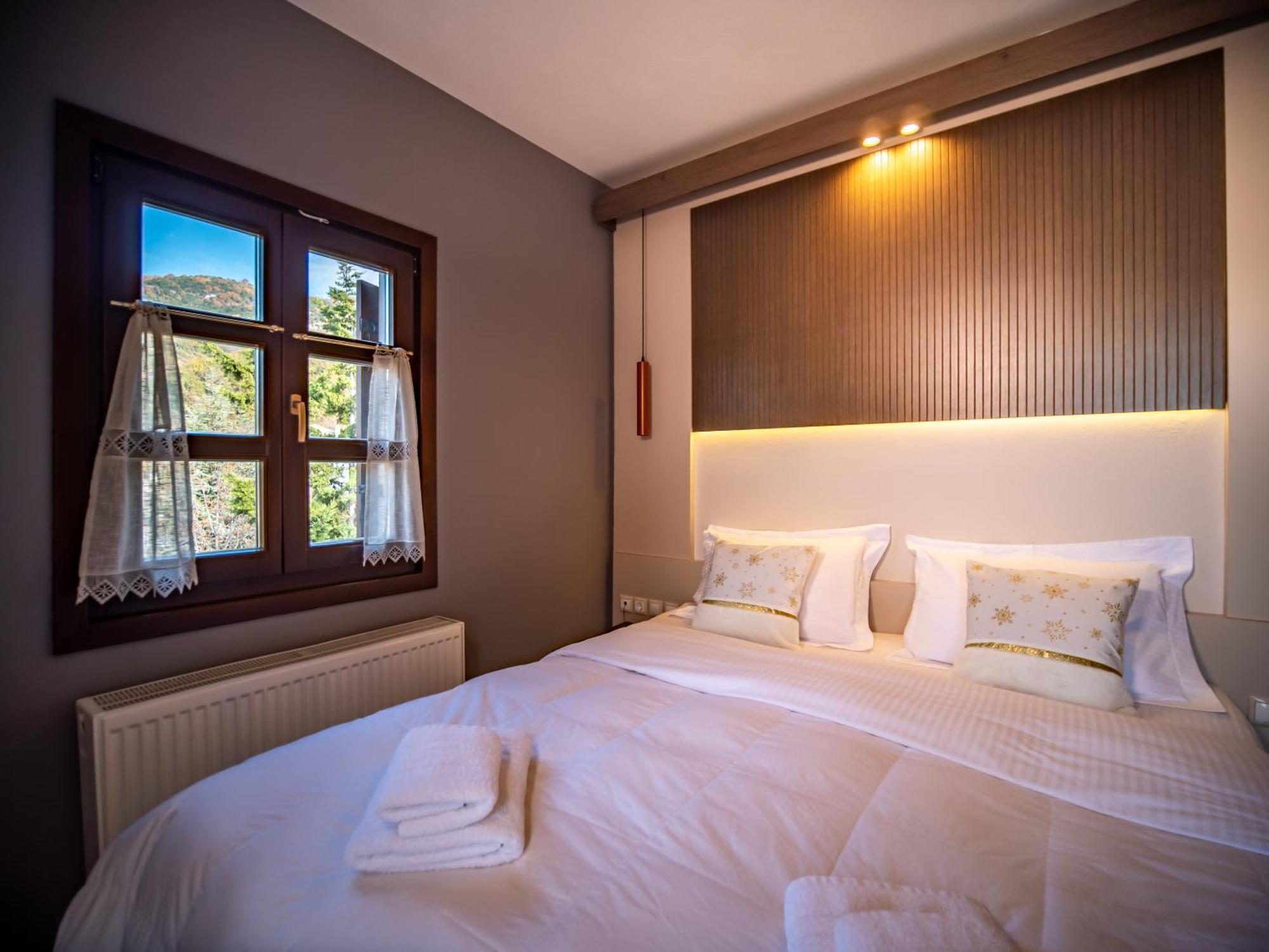 Erofili Hotel & Suites Portaria  Ngoại thất bức ảnh