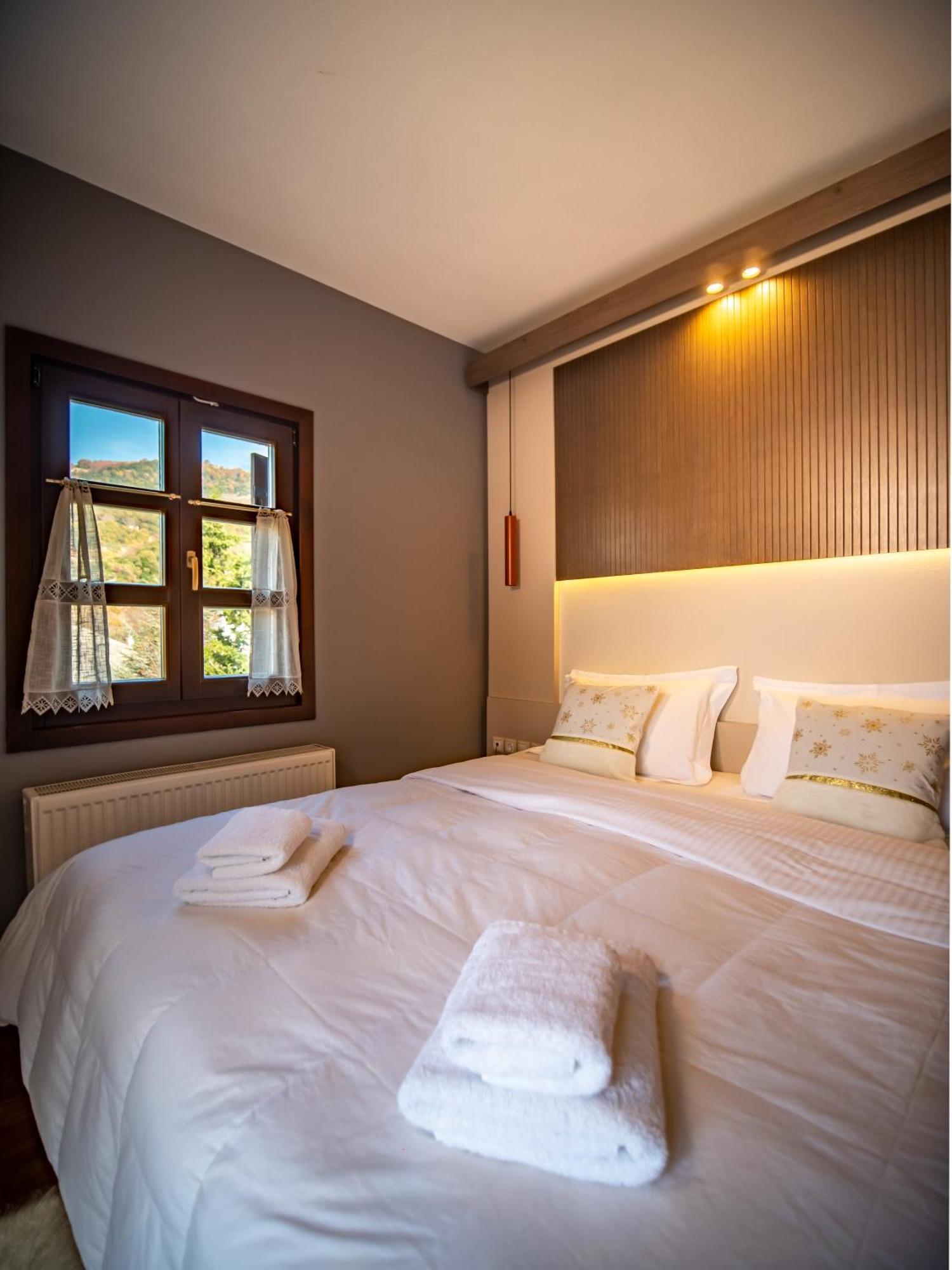 Erofili Hotel & Suites Portaria  Ngoại thất bức ảnh