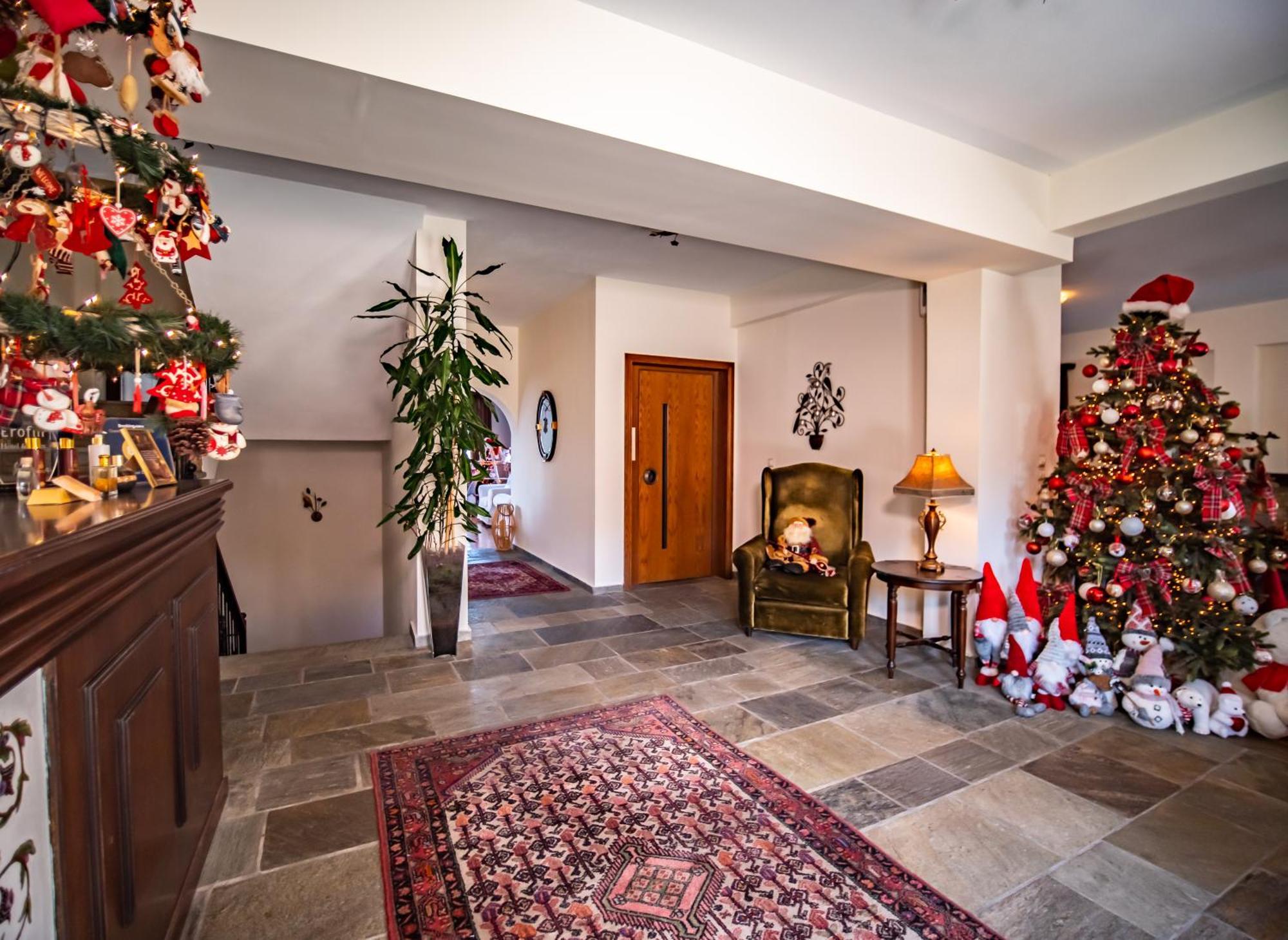 Erofili Hotel & Suites Portaria  Ngoại thất bức ảnh