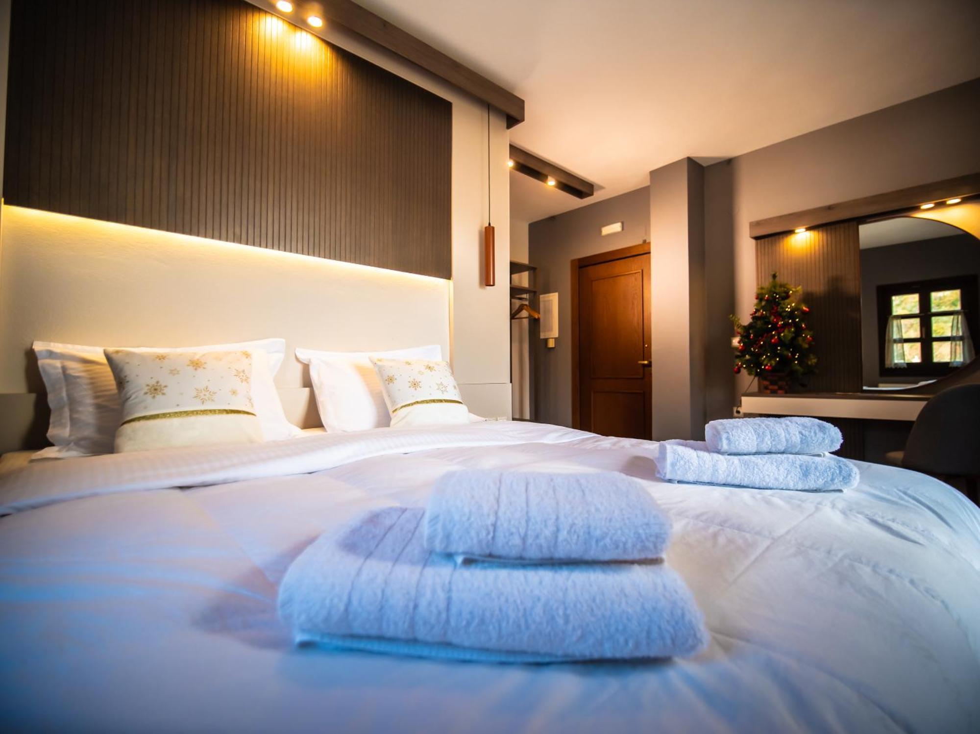 Erofili Hotel & Suites Portaria  Ngoại thất bức ảnh