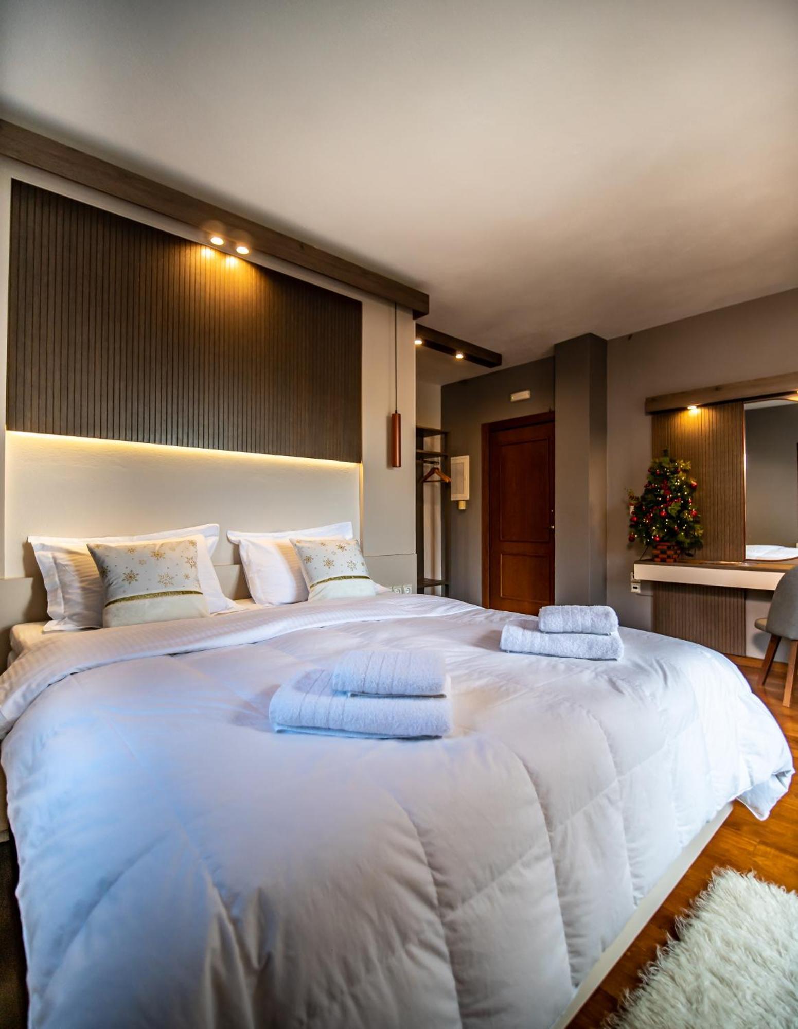 Erofili Hotel & Suites Portaria  Ngoại thất bức ảnh